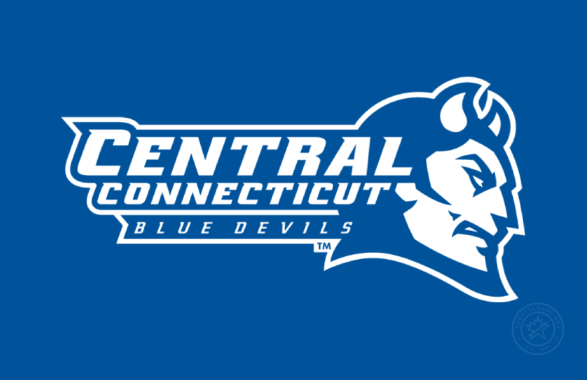 Central Connecticut Blue Devils 2011-Pres Primary Dark Logo diy iron on heat transfer